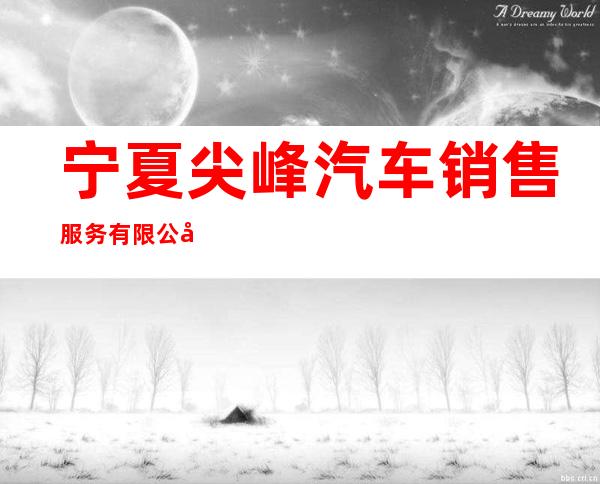 宁夏尖峰汽车销售服务有限公司